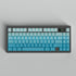 Side Printed Keycaps Cyan Gradient 125 Keys Cherry Profile PBT Heat Sublimation keycap Set for Mx Cherry Mechanical Keyboard (128 Cyan Gradient)...