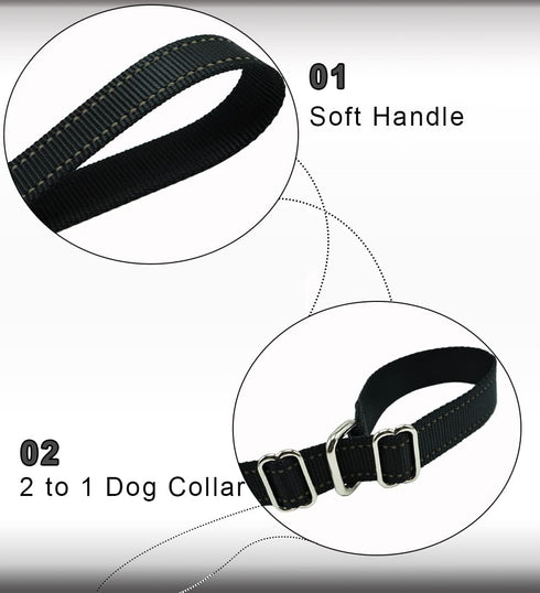 6FT Slip Lead Dog Leash Anti-Choking, Reflective Strong Nylon Flat Dog Leash, No Pulling Dog Training Leash for Small Medium and Large Dogs/Pets (...