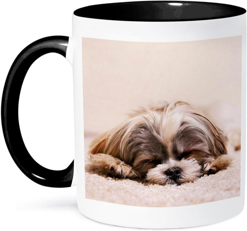 3dRose Ceramic Shih Tzu Sleeping Best Friend Mug, 1 Count (Pack of 1), Black...