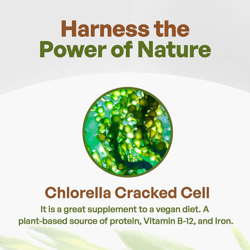 Go Nutra - Chlorella Powder, Pure Greens Powder with Vitamins, Minerals, and Antioxidants, All Natural Greens Superfood Powder, Chlorella Cracked ...