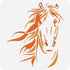BENECREAT Horse Stencil, 12x12" Horse Head Painting Templates Reusable Animal Stencils Template for Scrapbooking, Fabric, Photo Album, Floor Furni...