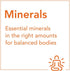 NOW Supplements, Red Mineral Algae Plus Vitamin D-2, Joint Health*, 180 Veg Capsules...