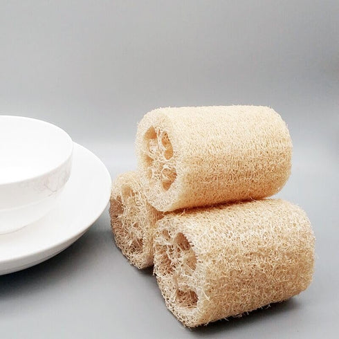 Natural Loofah Sponge Dishwashing Brush Multi-Purpose + 2 per Pack...