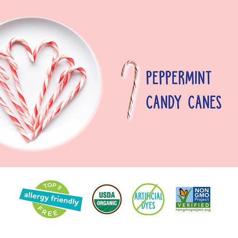 YumEarth Organic Candy Canes - Individually Wrapped Full Size Peppermint Candy Canes - Allergy Friendly, Non GMO, Gluten Free, Vegan - 10 Count (P...