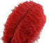 Sowder 10pcs Ostrich Feathers 12-14inch(30-35cm) for Home Wedding Decoration(red)...