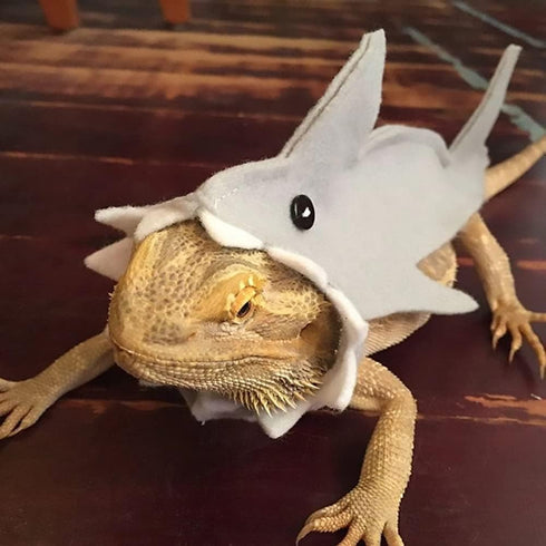HAICHEN TEC Lizard Clothes for Bearded Dragon - Shark Costume Outfit Handmade Lizard Shark Apparel Skin Protection Photo for Lizard Bearded Dragon...