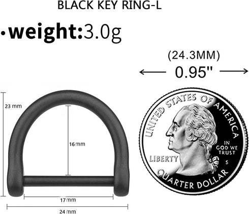 TISUR Titanium Key Ring?D-Rings Key Rings For Keychains Heavy Duty With Screw Shackle, Car Key Chain Ring...