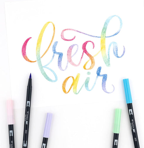 Tombow 56187 Dual Brush Pen Art Markers, Pastel, 10-Pack. Blendable, Brush and Fine Tip Markers...