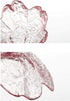4pcs Glass Sakura Shape Small Seasoning Dishes Dipping Bowls Appetizer Plates,3.4inch...