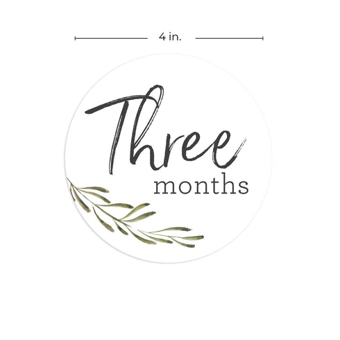 Baby Milestone Signs/Greenery Monthly Milestones/Botanical Infant Photo Prop...