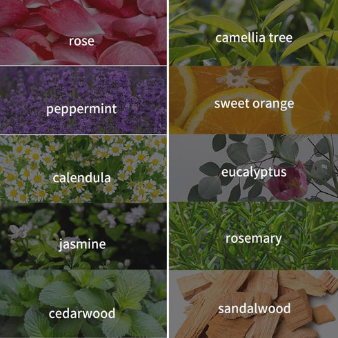 Botanical Aromatherapy Essential Oil, Oily Aromatherapy Essential Oil, Suitable for Diffuser, Massage, Sleep, Bath, Spa, Skin and Hair Care 0.33oz...
