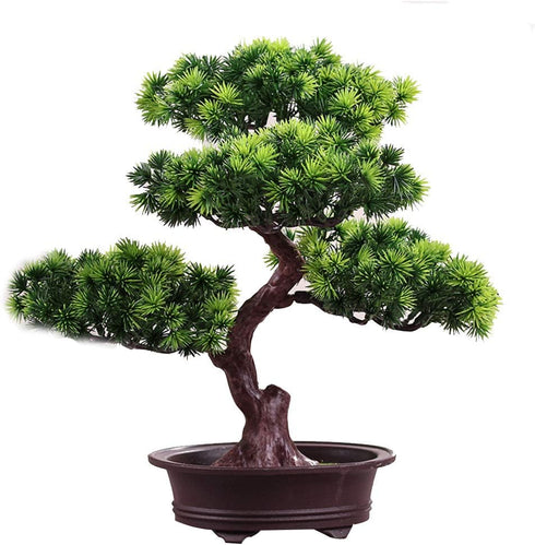 KOET Artificial Bonsai Pine Tree, 11Inch Faux Potted Plant Desk Display Fake Tree Pot Ornaments, Japanese Cedar Bonsai Plant for Home, Office Deco...