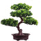 KOET Artificial Bonsai Pine Tree, 11Inch Faux Potted Plant Desk Display Fake Tree Pot Ornaments, Japanese Cedar Bonsai Plant for Home, Office Deco...