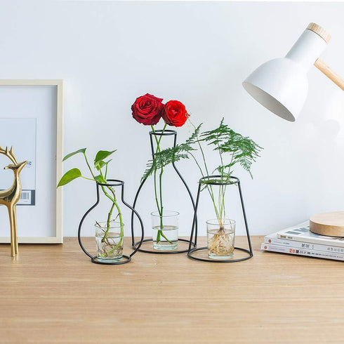 Nuptio Set of 3 Creative Desktop Planter Set with Glass Cup Vases Iron Metal Stand for Water Planting Flower Arrangement Decoration Gift for Home ...