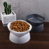 Cat Bowl, Anti Spill Tilted Cat Food Bowls,Raised Cat Food Bowls Water Bowls,Elevated Cat Food Bowl,Pet Food Bowl for Cats and Small Dogs...