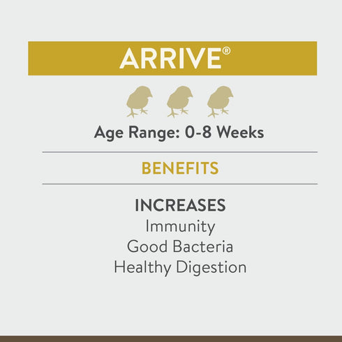 Arrive, Daily Probiotic & Prebiotic Water Supplement for Young Chickens 0-8 Weeks Old, 8 oz...
