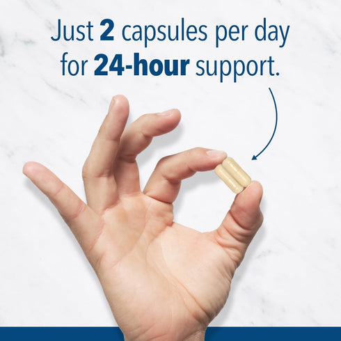 Blood Sugar 24 Hour - 7 in 1 Formula with Cinnamon, Banaba, Chromium, Milk Thistle, & More - Once Daily Supplement by Dr. Stephanie's...