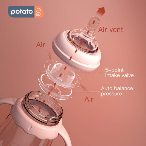 POTATO Glass Baby Bottles, Anti-Colic Breastfeeding Bottles with Fast Flow Nipple, Suitable for Babies 6-12 Months, 2 Replaceable Nipples, 8 oz, P...
