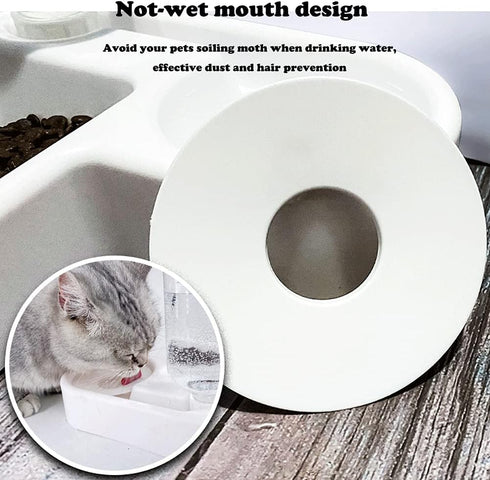 Double Dog Cat Bowls - Pets Water and Food Bowl Set with Automatic Water Bottle, Raised Pet Feeder Bowl for Cats and Small Dogs...