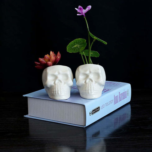 2PCS White and Black Skull Succulent Planter Pots Set, Creative Plant Lover Gifts Cactus Plant Pot Pen Pencil Holder for Home Office Decor (Black ...