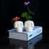 2PCS White and Black Skull Succulent Planter Pots Set, Creative Plant Lover Gifts Cactus Plant Pot Pen Pencil Holder for Home Office Decor (Black ...