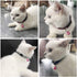 4 Sets Cat Bell for Dog Collar Charm Training Pet Pendant Accessories with 2 Pack Stainless Steel Dog Tag Clips(2 X-Small Pink)...