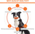 AUSCAT Dog Chew Squeaky Toy Ball, Dog Toy for Aggressive Chewers, Rugby Shape Rubber Chew Ball with Squeaker, Interactive Dog Ball for Fetch Game ...