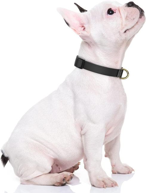 Dog Collar, Adjustable Black Dog Collar for Small Dogs, Cute Puppy Collar for Boy and Girl Dog, Classic Heavy Duty Pet Collars with Quick Release ...