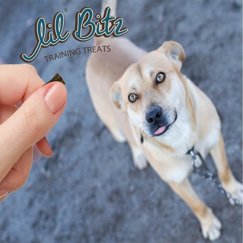 Lil' Bitz Flame Roasted Chicken Training Treats for All Dog Breeds - Low Calories, Grain Free, Natural Ingredients, NASC Compliance - Perfect Rewa...