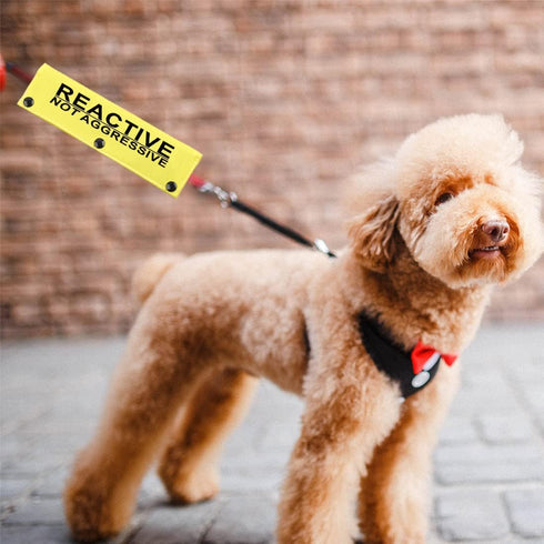 JXGZSO Reactive Not Aggressive Do Not Pet Dog Leash Sleeve Reactive Dog Leash Wrap (reactive N aggressive DLS)...