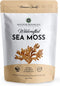 Wildcrafted Sea Moss - Healthy Irish, Raw Sea Moss from Rocks & Sea Beds of St. Lucia - 4oz Dry Makes 60-80oz Seamoss Gel - Hand-Harvested, Vegan ...