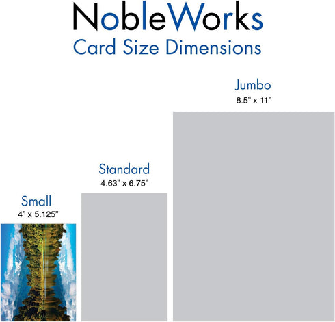 The Best Card Company - 20 Landscape Nature Note Cards Blank (4 x 5.12 Inch) (10 Designs, 2 Each) - Reflections AM1728OCB-B2x10...