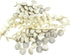 50pc/Set Champagne Satin Cloth Buttons with Shank and Same Color Buckle Rope for Bridal Wedding Dress Gowns Tuxedo Suit Sewing Button 12.5mm...