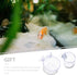 Mipcase 4Pcs Red Worm Feeder Shrimp Feeding Dish with Suction Cup Aquarium Glass Cone Feeder Cup Floating Fish Tank Feeding Food Bowl Plant Holder...