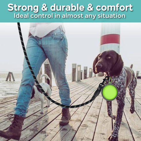 COOYOO 2 Pack Dog Leash 4 FT Heavy Duty - Comfortable Padded Handle - Reflective Dog Leash for Medium Large Dogs with Collapsible Pet Bowl...
