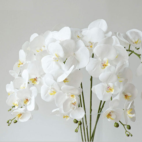 FagusHome 6 Pcs Artificial Phalaenopsis Flowers with 6 Bundles Leaves Artificial Orchid Flowers Stem Plants for Home Décor...