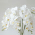 FagusHome 6 Pcs Artificial Phalaenopsis Flowers with 6 Bundles Leaves Artificial Orchid Flowers Stem Plants for Home Décor...