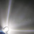 Ruiandsion Upgrade LED Flashlight Bulb 4.5V P13.5S Base Socket White LED Bulbs Replacement for Flashlight Torch Lights,Non-Polarity (Pack of 5)...