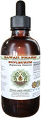 Bupleurum Alcohol-Free Liquid Extract, Organic Bupleurum (Bupleurum Chinense) Dried Root Glycerite Hawaii Pharm Natural Herbal Supplement 2 oz...