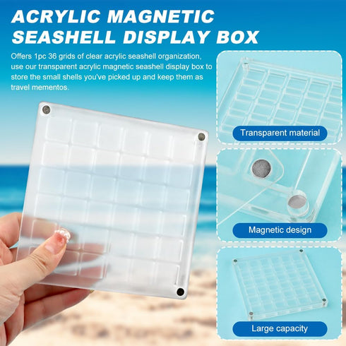 36 Grids Acrylic Magnetic Seashell Display Box, Advantageouse Acrylic Magnetic Seashell Display Box, Clear Seashell Storage Box, for Bead, Nail, J...