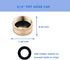 Brass Garden Hose End Cap 3/4" GHT Female Fitting Repair Cap (10-Pack)...