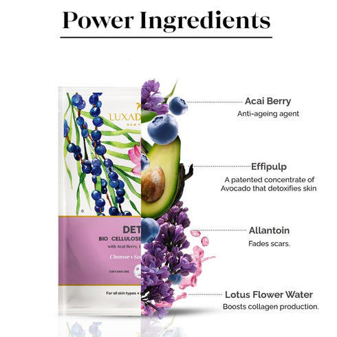 LuxaDerme Detox Bio Cellulose Face Mask, Moisturizing and Brightening Skincare Face Mask, Korean Sheet Masks for Glass Skin with Acai Berry, CoQ10...