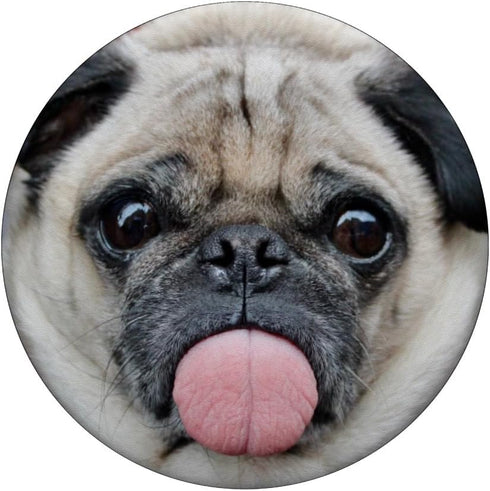 Funny Pug Sticking Out Tongue PopSockets PopGrip: Swappable Grip for Phones & Tablets PopSockets Adhesive PopGrip...