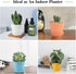 Flower Pots,Plant Pots,8 PCS Plastic Pots for Plants,4.7" Small Plant Pots,Succulent Pots,Planters for Indoor Plants,Nursery Pots,Herb Garden Plan...