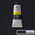 Winsor & Newton Galeria Acrylic Color, 60ml (2-oz) Tube, Payne's Gray...
