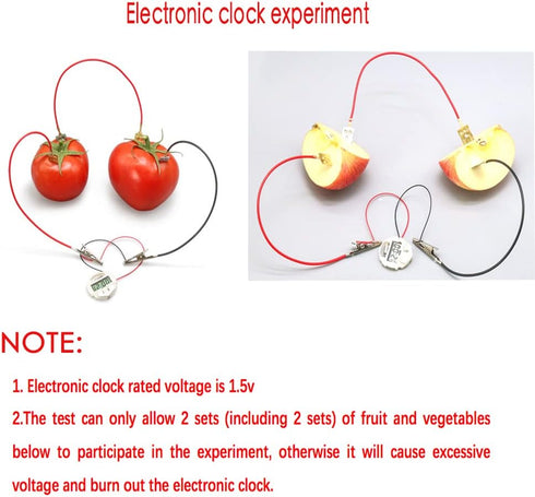 3 Sets Fruit Battery Science Experiment Kit for Home Teaching Toy, Orange Lemon Potato Battery Physics Teaching Experiment with Electronic Clock E...