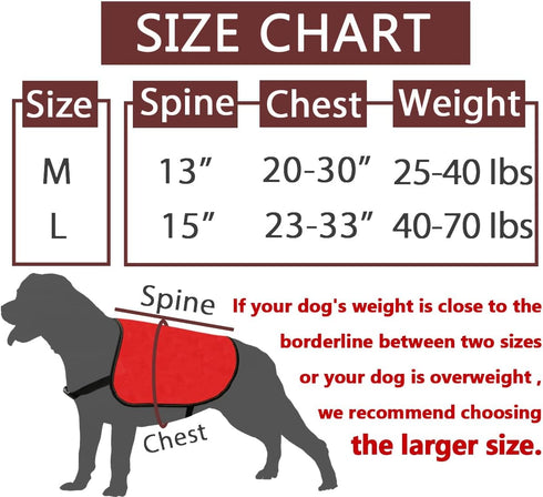 JXGZSO Nervous Do Not Approach Dog Jacket Vest Nervous Rescue Space Dog Vest Dog Walking Slogan Warning Vest (Training approach M)...