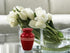 Immortal-Memories Serenity Keepsake Urn for Ashes - Miniature Urns - Mini Jar - Pet Urn -Token Urn with Velvet Bag (Red)...