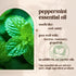 Peppermint Essential Oil - 100% Pure & Natural, Organic, Undiluted for Aromatherapy, Skin, Hair, Diffuser (0.33oz - 10ml)...