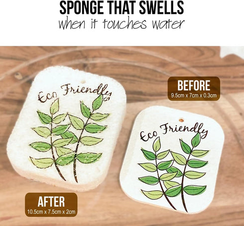 10PACK Natural Plant Based Biodegradable Eco-Friendly Cellulose Dish Sponges: Non Scratch, Multi-Purpose Kitchen,Household,Bathroom Cleaning Spong...